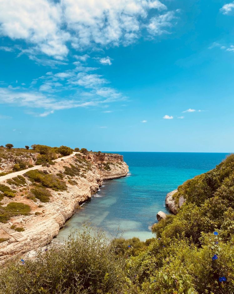 {"subsource":"done_button","uid":"2964ED76-B42C-4837-ACC3-21134FA7D175_1599586284508","source":"other","origin":"gallery","source_sid":"2964ED76-B42C-4837-ACC3-21134FA7D175_1599586284685"}