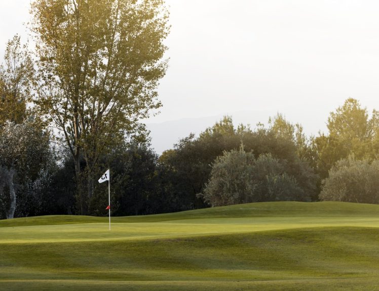 front-view-golf-field-with-grass-flag